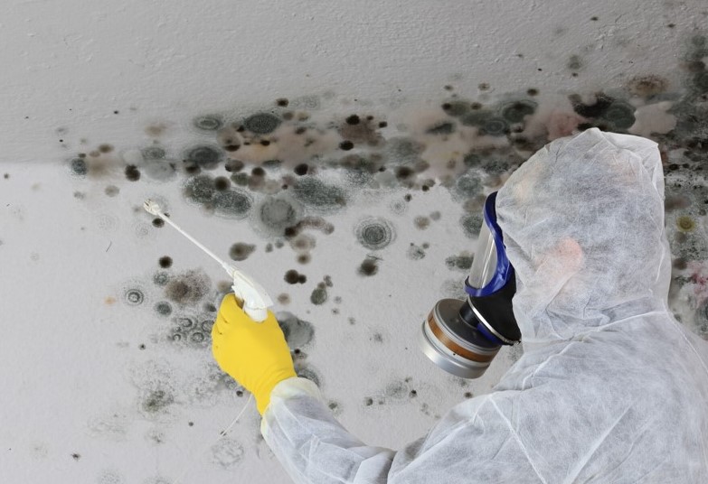 Emergency Mold Remediation: What to Do After a Flood