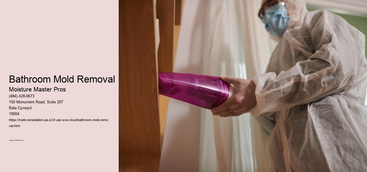 Bathroom Mold Removal