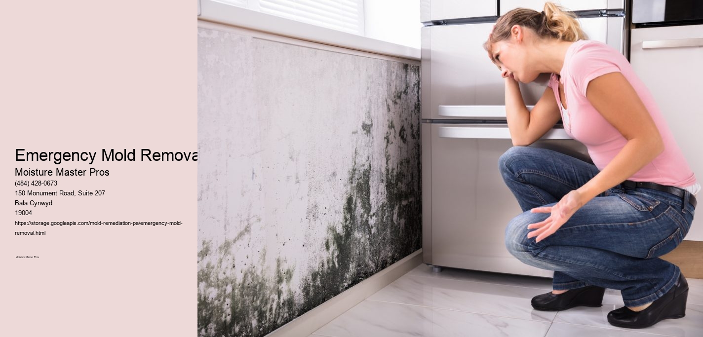 Emergency Mold Removal