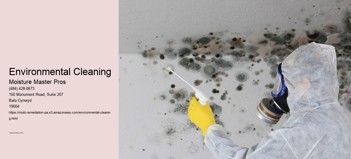 Environmental Cleaning