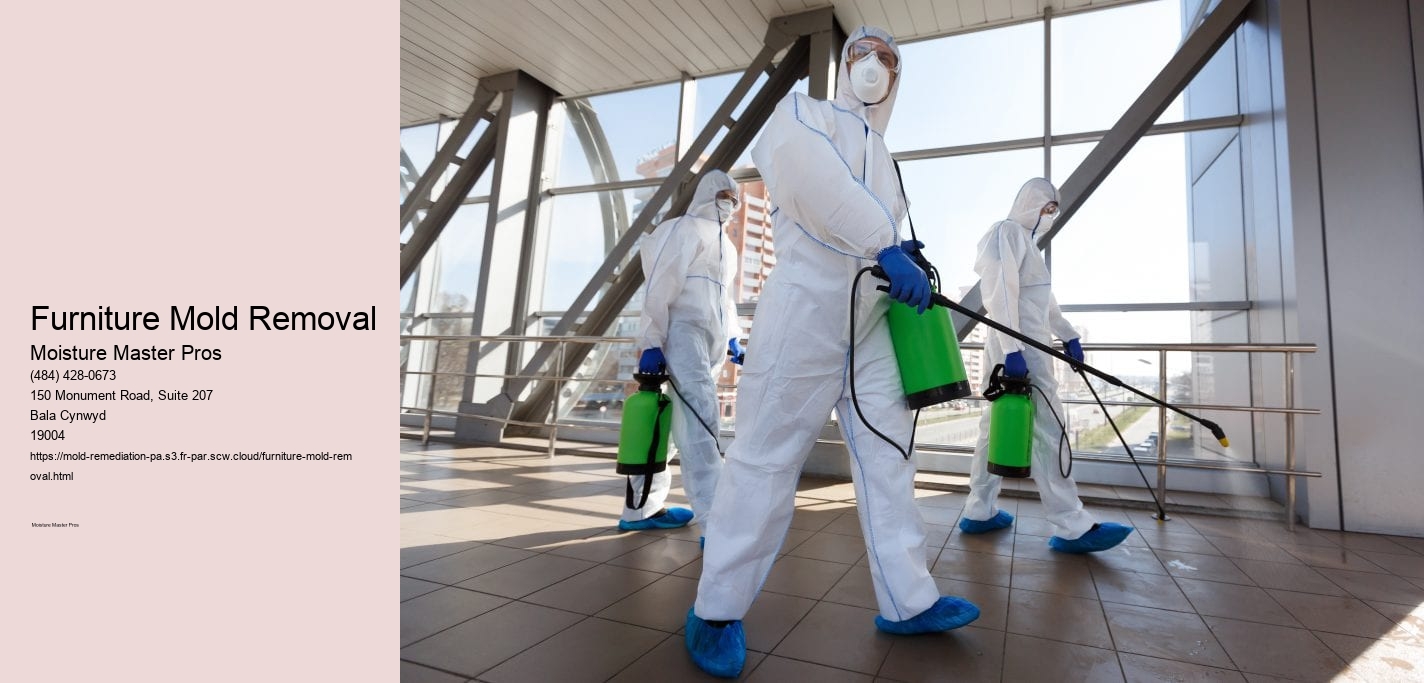 Furniture Mold Removal