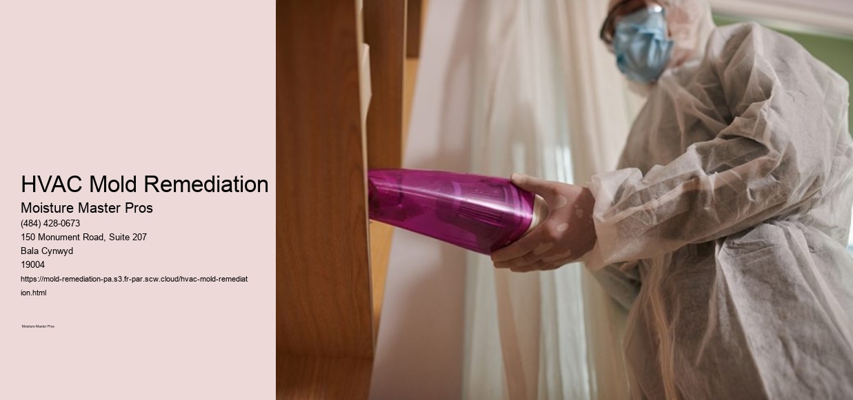 HVAC Mold Remediation