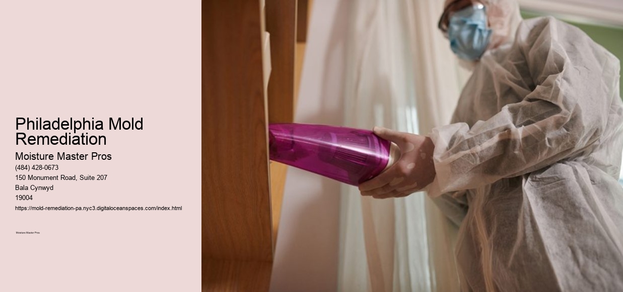 Philadelphia Mold Remediation