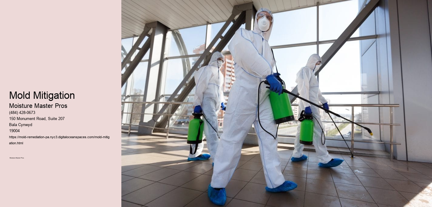 Mold Mitigation
