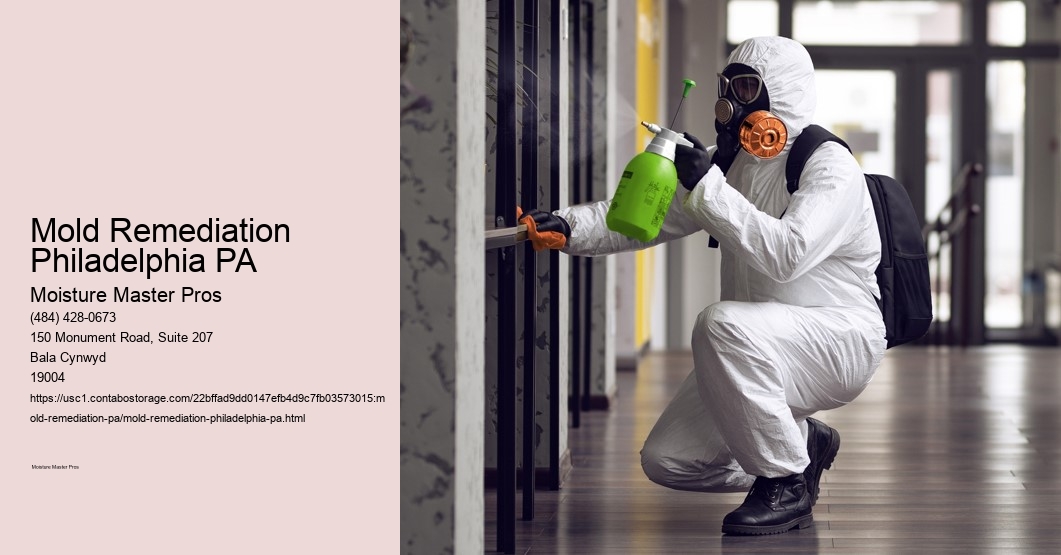 Mold Remediation Philadelphia PA