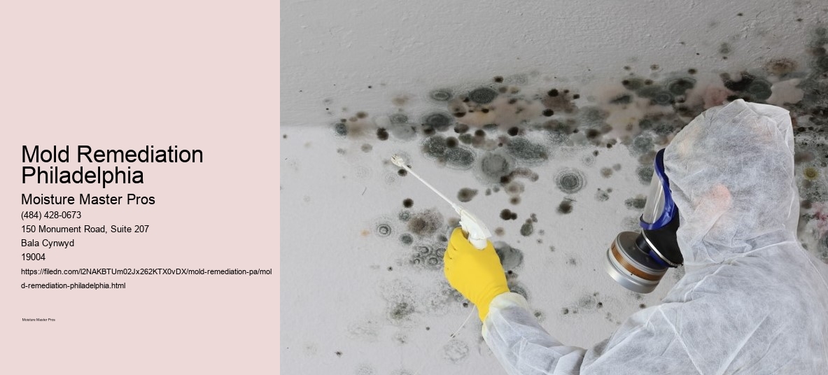 Mold Remediation Philadelphia