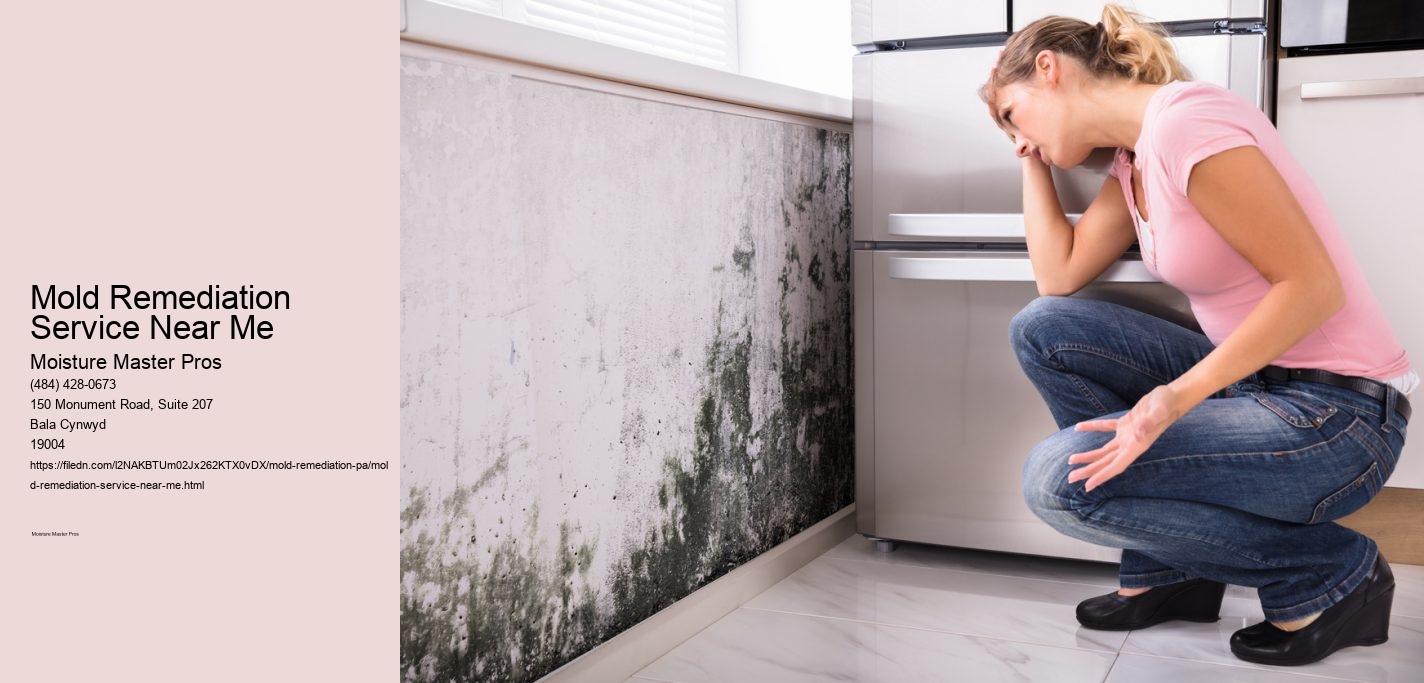 Mold Remediation Service Near Me