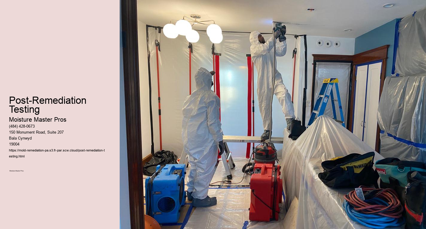 Post-Remediation Testing