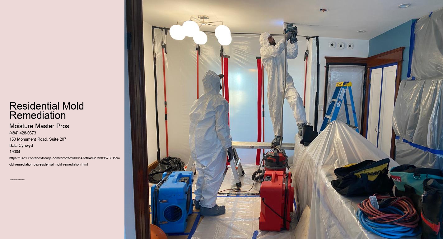 Residential Mold Remediation