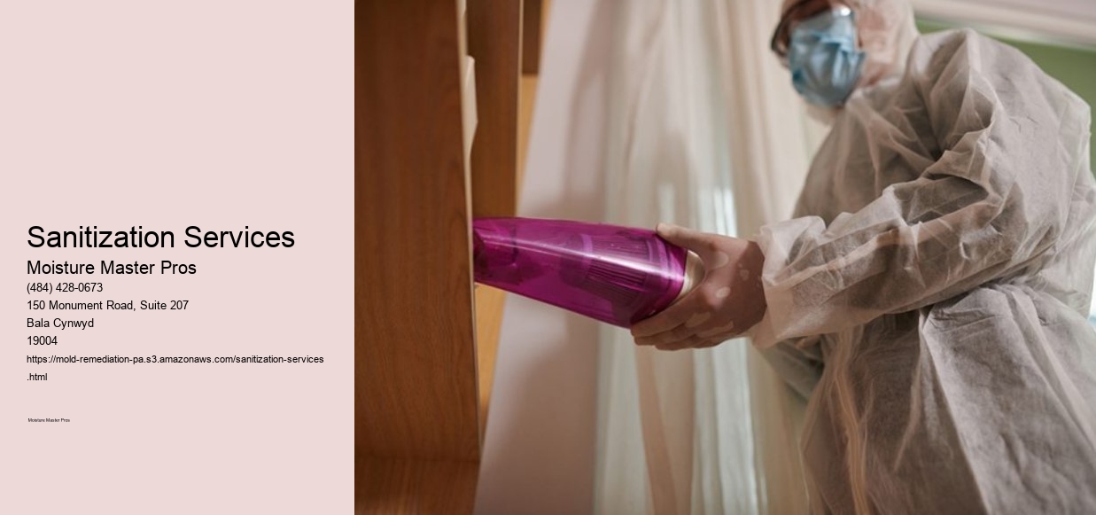 Sanitization Services