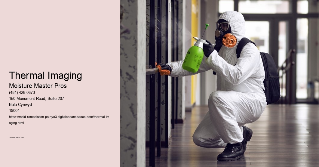 Thermal Imaging